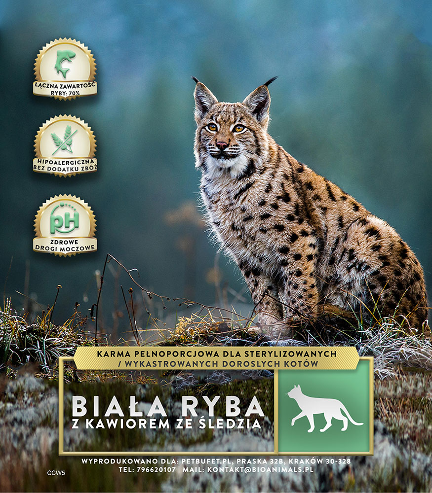 Kot: Biała ryba z kawiorem