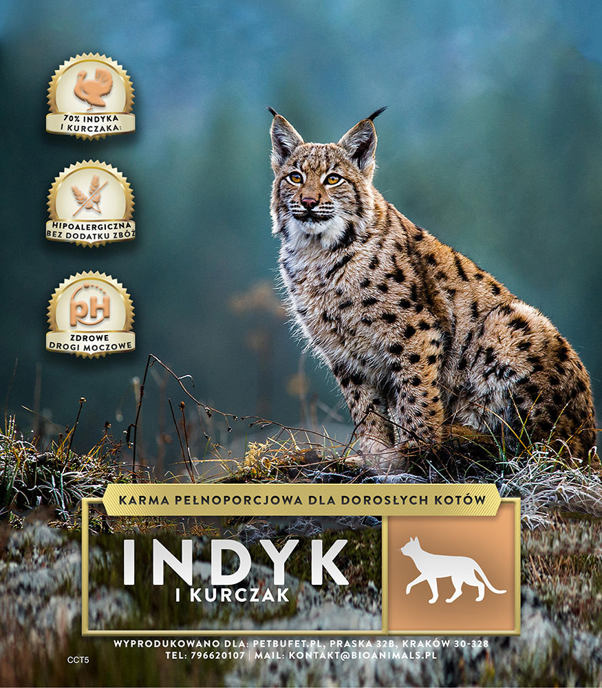 Kot: Indyk-kurczak