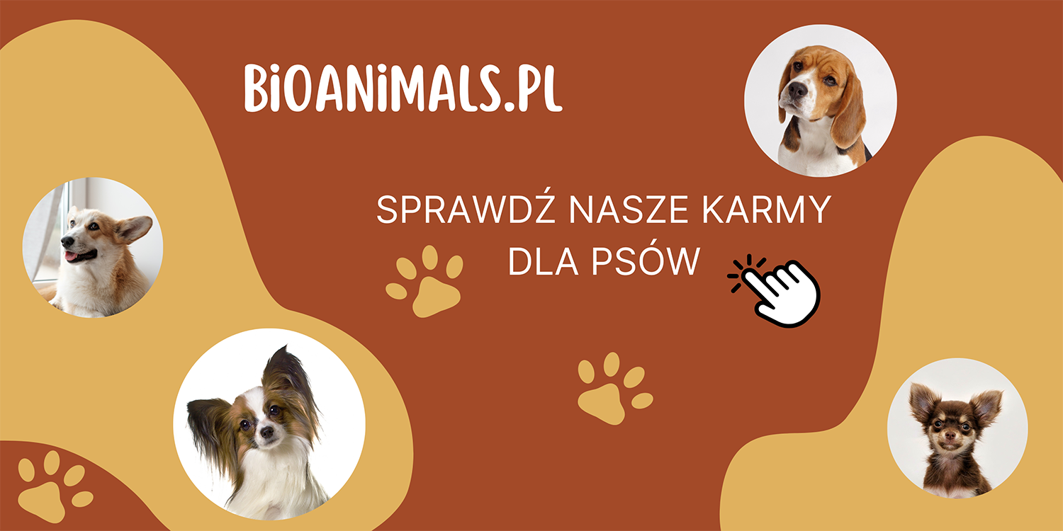 Karmy dla psów